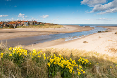 Northumberland's Best Hidden Beaches